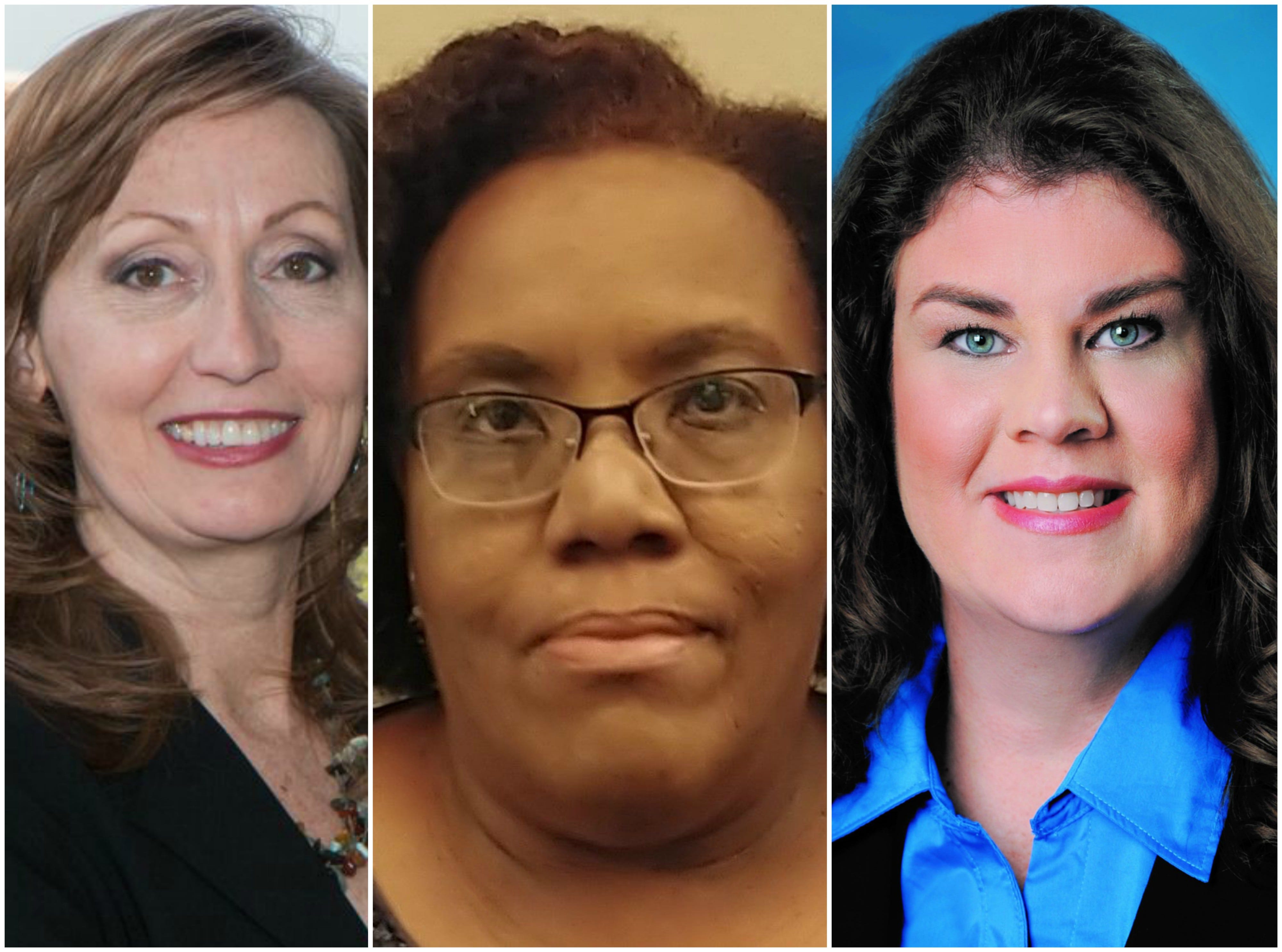 Election 2018: What White, Northcutt, Smith say about Rutherford jobs