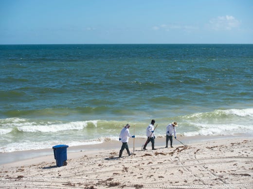 Wearing masks to protect themselves from red tide exposure, city of Vero Beach workers from ocean rescue, the recreation department and public works shovel dead fish into a trash bin Tuesday, Oct. 16, 2018 at Jaycee Park in Vero Beach. 