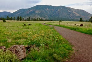 A segment of the Arizona Trail makes a gentle meander through the meadows of Buffalo Park, not far from downtown Flagstaff.
