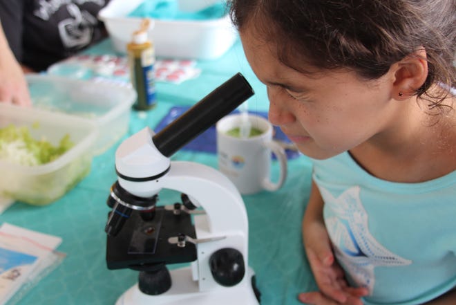 The Indian River Lagoon Science Festival returns for its fifth year, 10 a.m. to 3 p.m., Saturday, Oct. 27,  at Veteran’s Memorial Park, part of the River Walk Center in Fort Pierce. This free, all-ages day of discovery promises to be a blast for the whole family with dozens of minds-on, hands-on activities exploring the wonders of science, technology, engineering, art and math on the Treasure Coast.