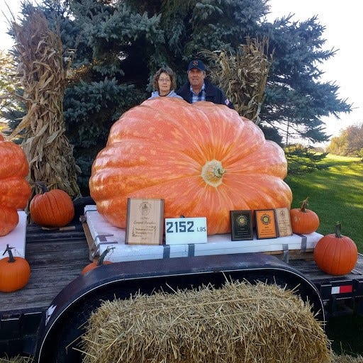 Great Pumpkin Oshkosh Grower S Pumpkin Is Eighth Heaviest In The World