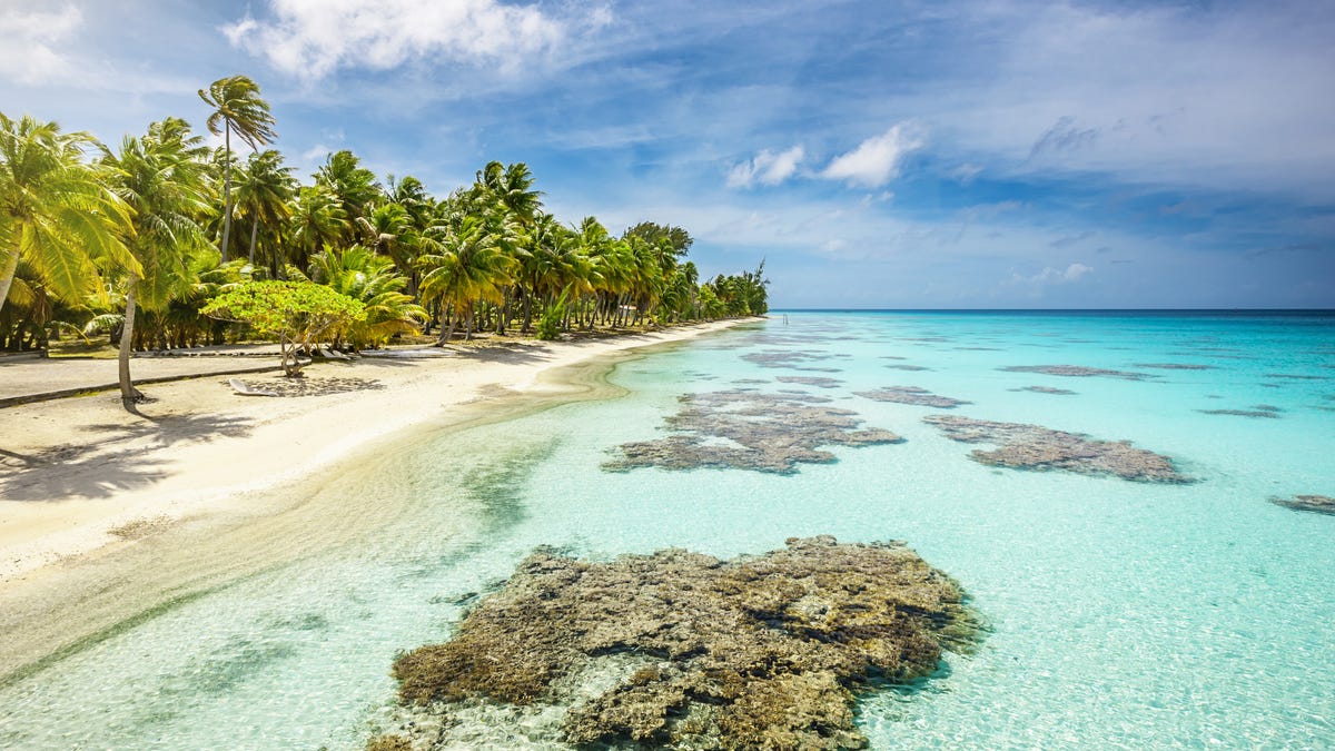 Best hidden destination for snorkeling: Tuamotu Islands. 