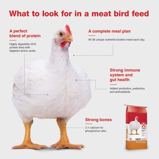 Chicken Math Broiler Edition How To Raise Meat Birds
