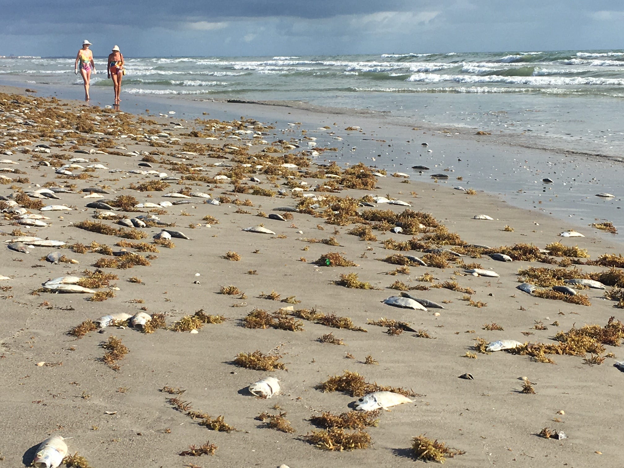 Tide Chart Cocoa Beach Fl