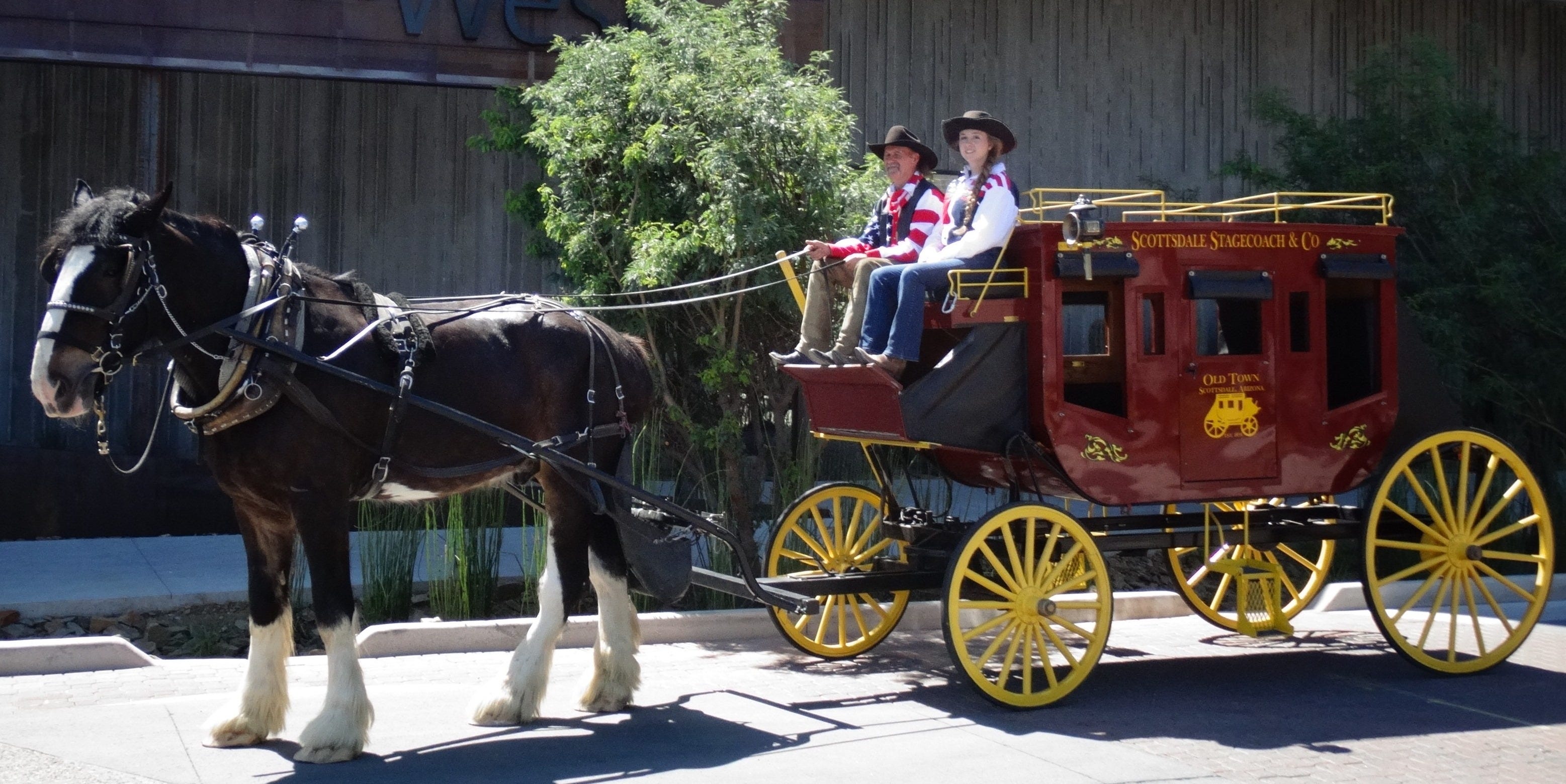 horse and buggy rides near me