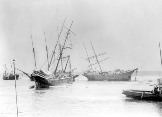 Hurricane Michael Unearthed Shipwrecks From 1899 On Dog