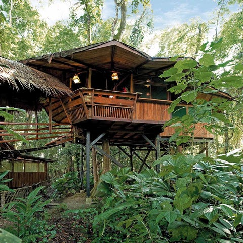 The Costa Rica Tree House Lodge is built within...