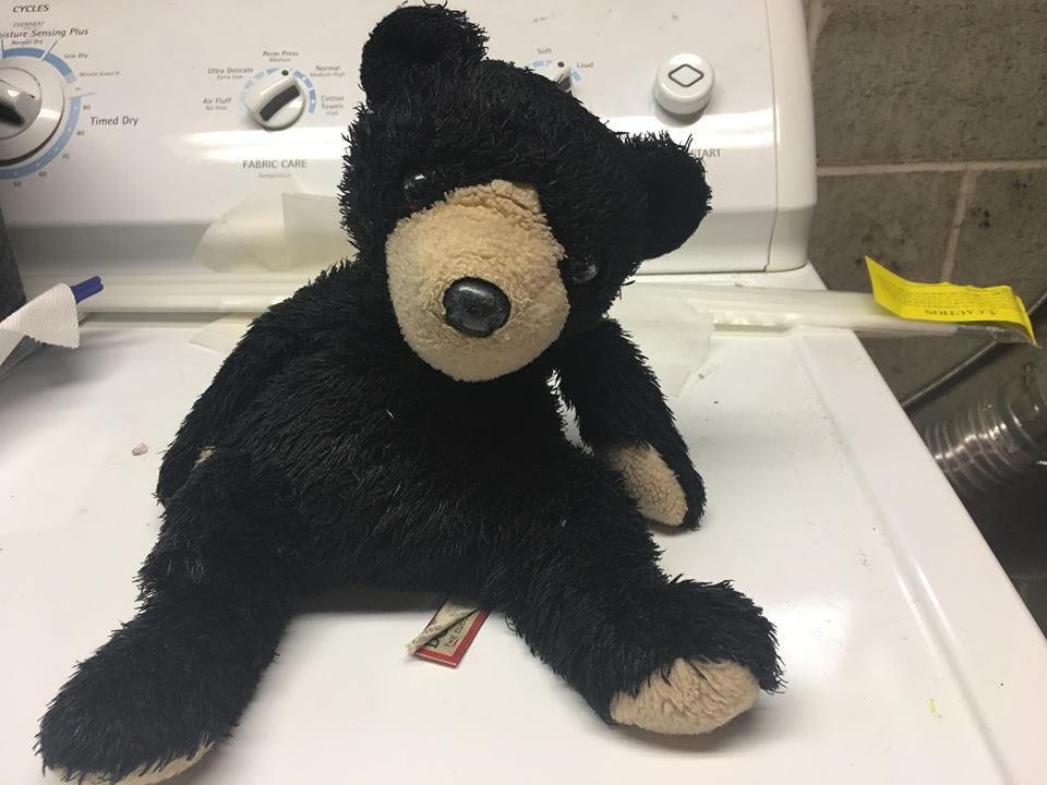 blueberry teddy bear