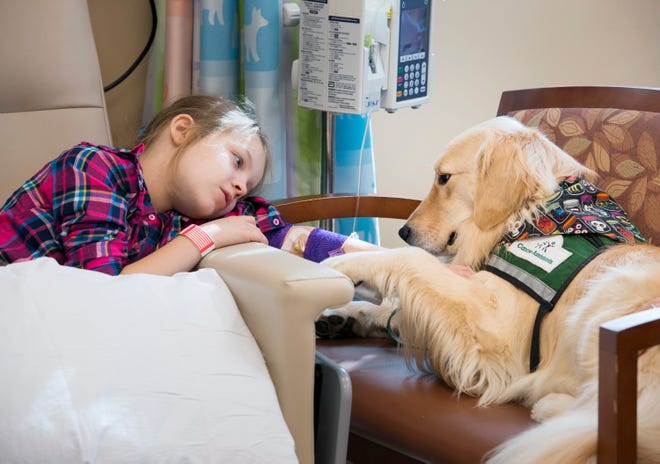 Riley Goebel, 8, pets therapy dog Sprout while undergoing treatment at Sacred Heart Hospital in Pensacola on Monday, October 22, 2018.