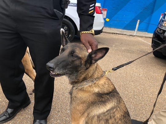 K-9 Alpha retired from Jackson Police Department at age 10. He was honored in a ceremony October 23.