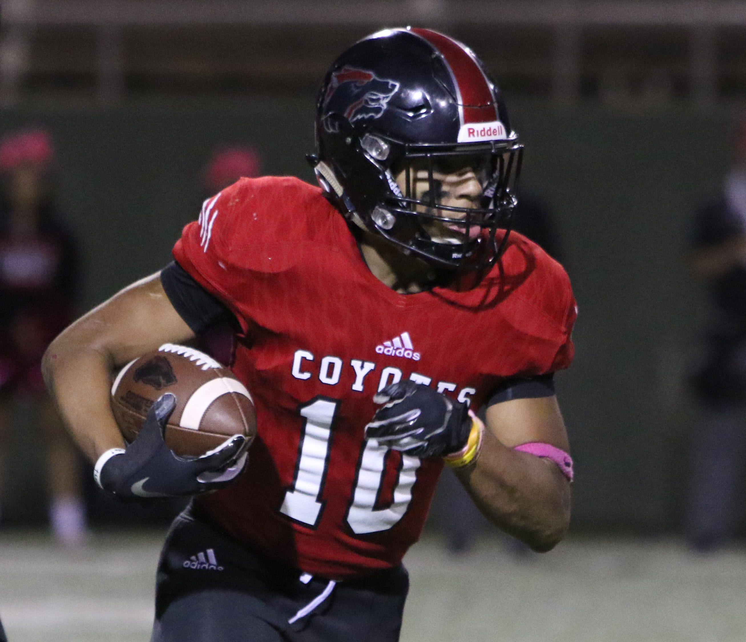 2019 Vernon Lions football preview