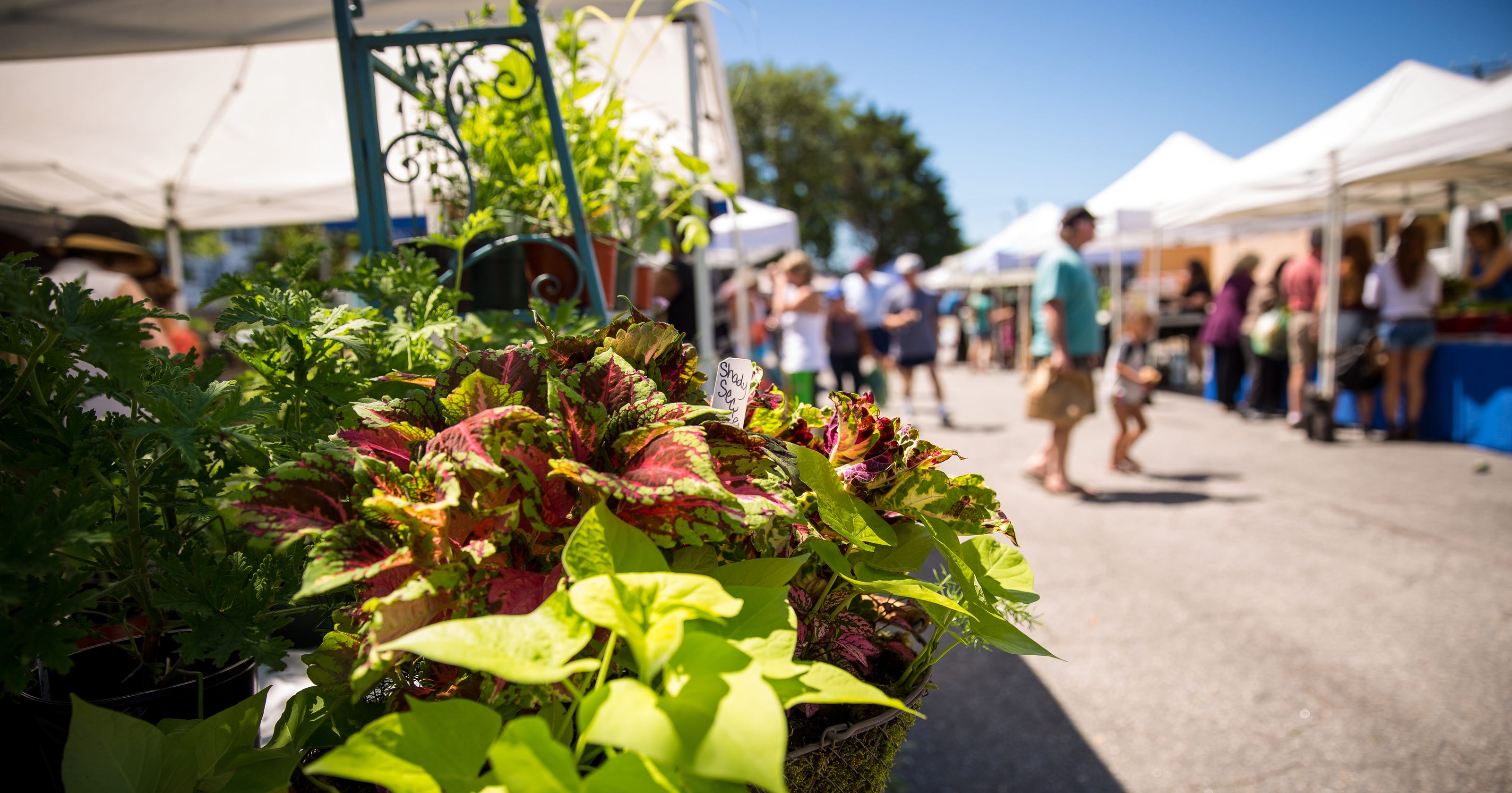 10 unique fall and winter festivals and events you’ll only find in
