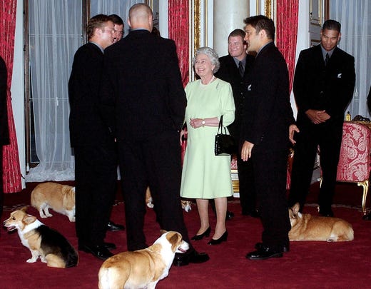 visitor Their dogs often met when they met Queen Elizabeth II, as in November 2002, when the New Zealand All Blacks rugby team visited them at Buckingham Palace.