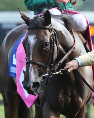 Sistercharlie, trained by Chad Brown, is set to run in the 2018 Breeders' Cup Filly & Mare Turf.