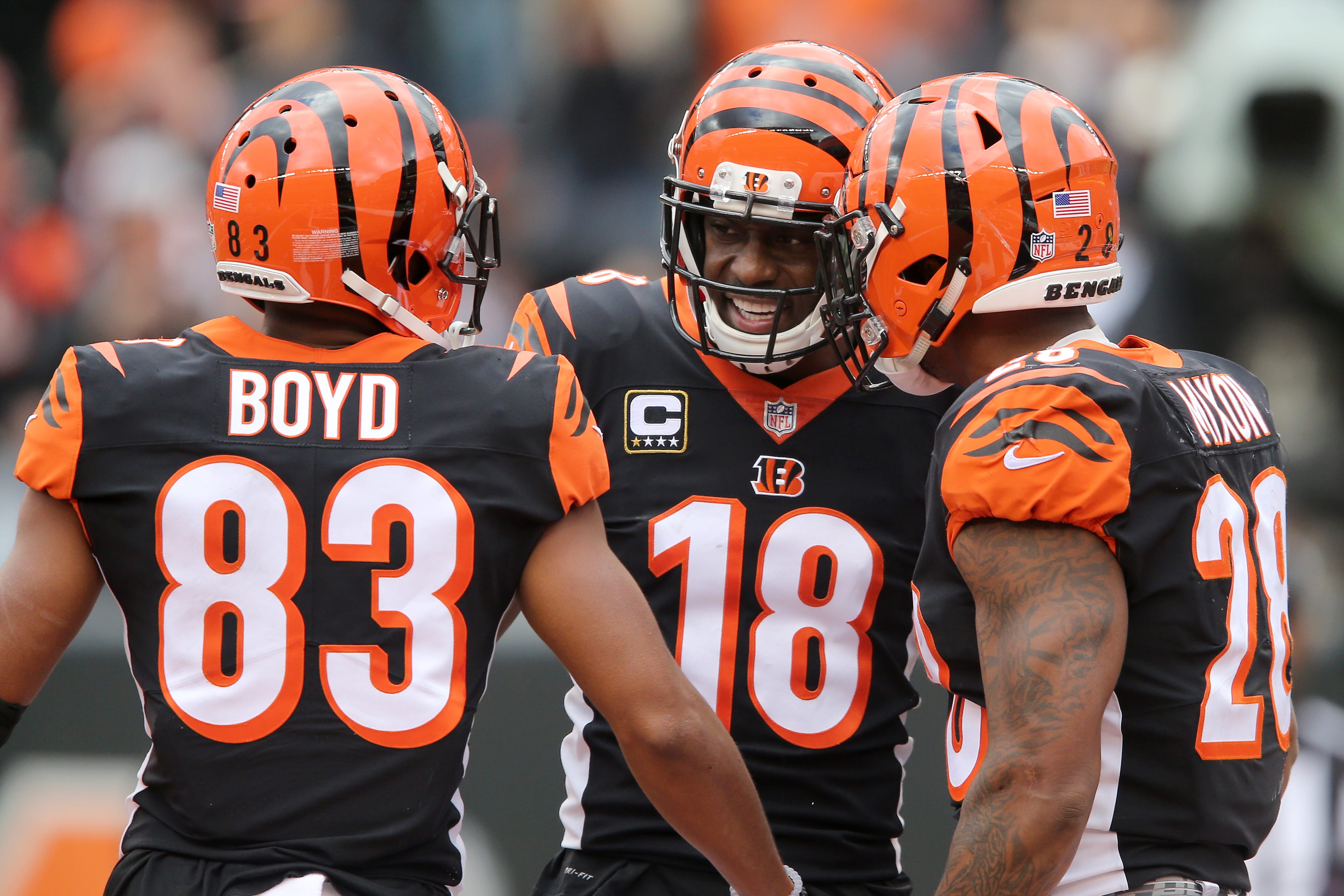 Projections for Cincinnati Bengals 