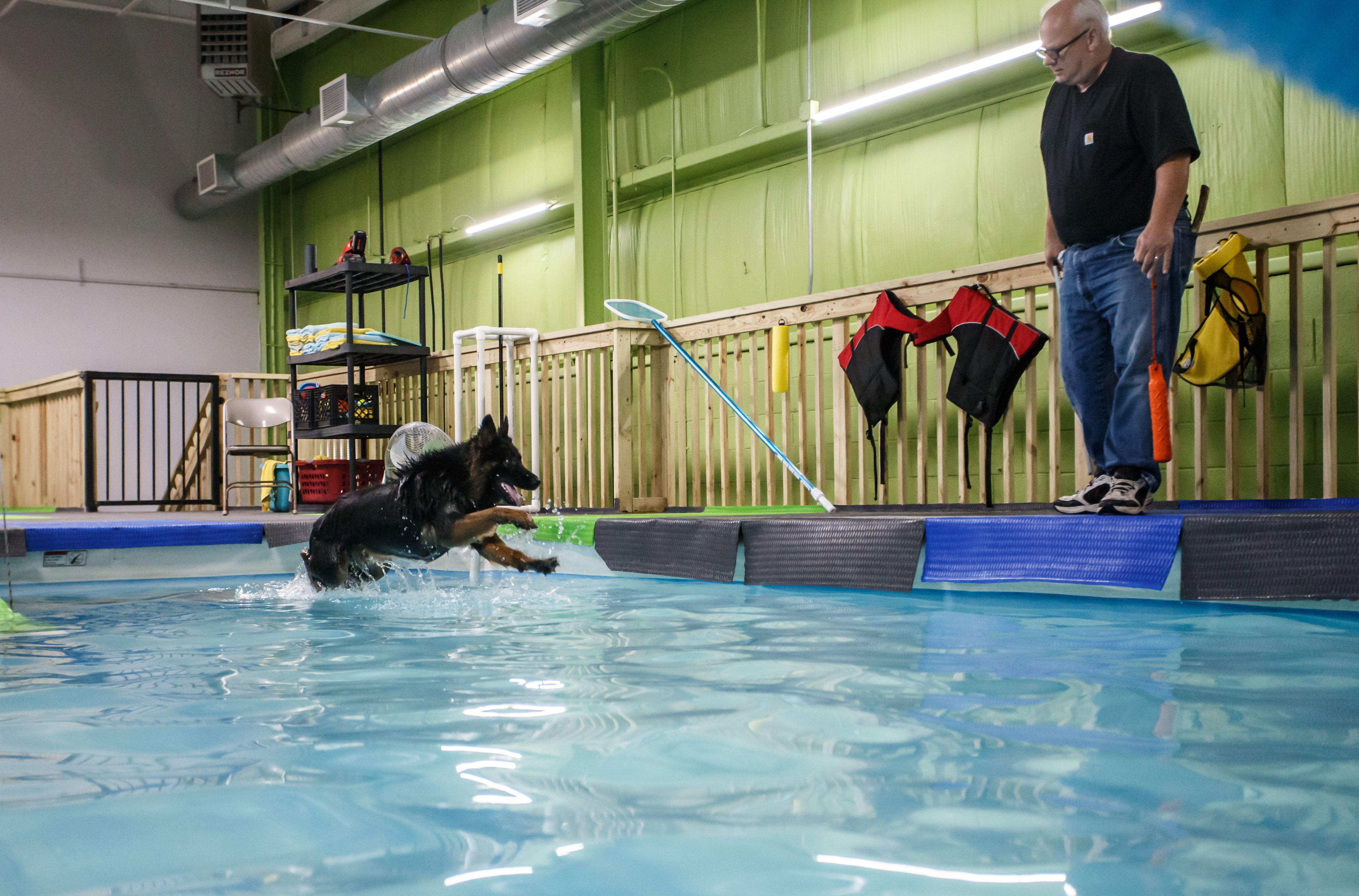 indoor swimming pool for dogs near me