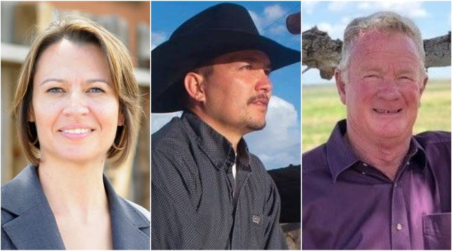 Control of powerful New Mexico land office up for grabs