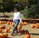 Apartments planned near Boyd's Pumpkin Patch at Exit 11 have neighbors upset