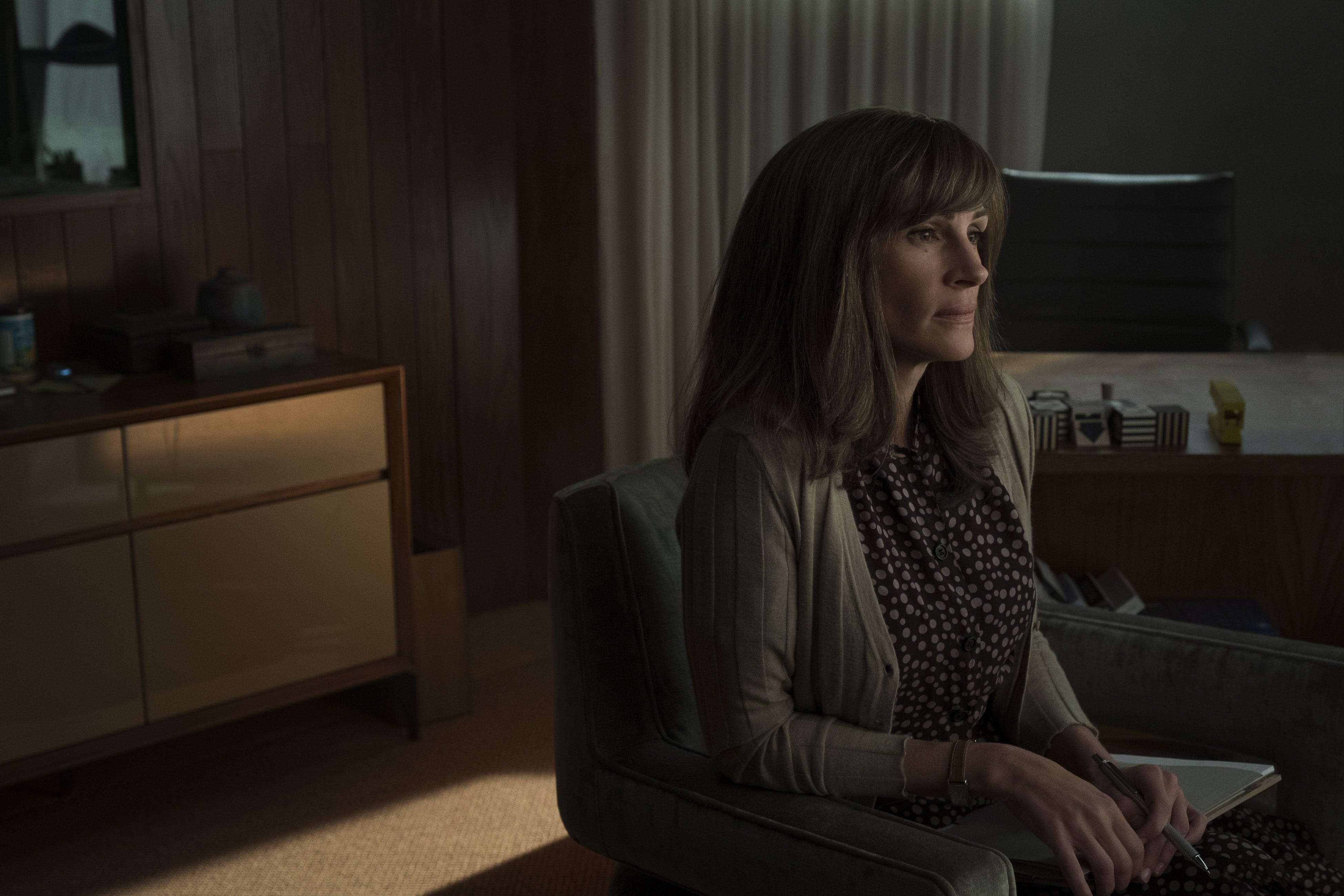 amazon serie homecoming