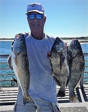 Drum City: Sebastian Inlet regular Mike Ricciardi of Vero Beach carried home a nice redfish and two black drum after a fishing outing this past week.