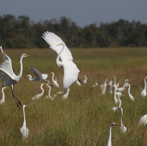 As Southwest Florida heads into the drier months,...