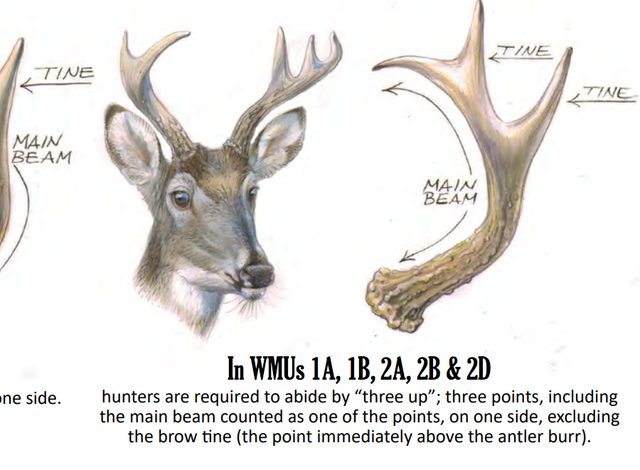 Your Complete Guide To The 2019 Rifle Season Dates Antler Laws More