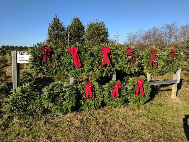 Barclay's Tree Farm, 35 Orchardside Dr., Cranbury. The cut-your-own Christmas tree farm in Middlesex County also sells wreaths and greens.