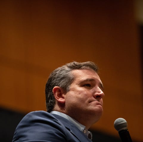 U.S. Sen. Ted Cruz, Texas speaks during a...