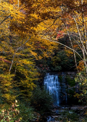 Fall foliage surrounds Meigs Falls in the Great Smoky Mountains National Park on Sunday, November 4, 2018.  