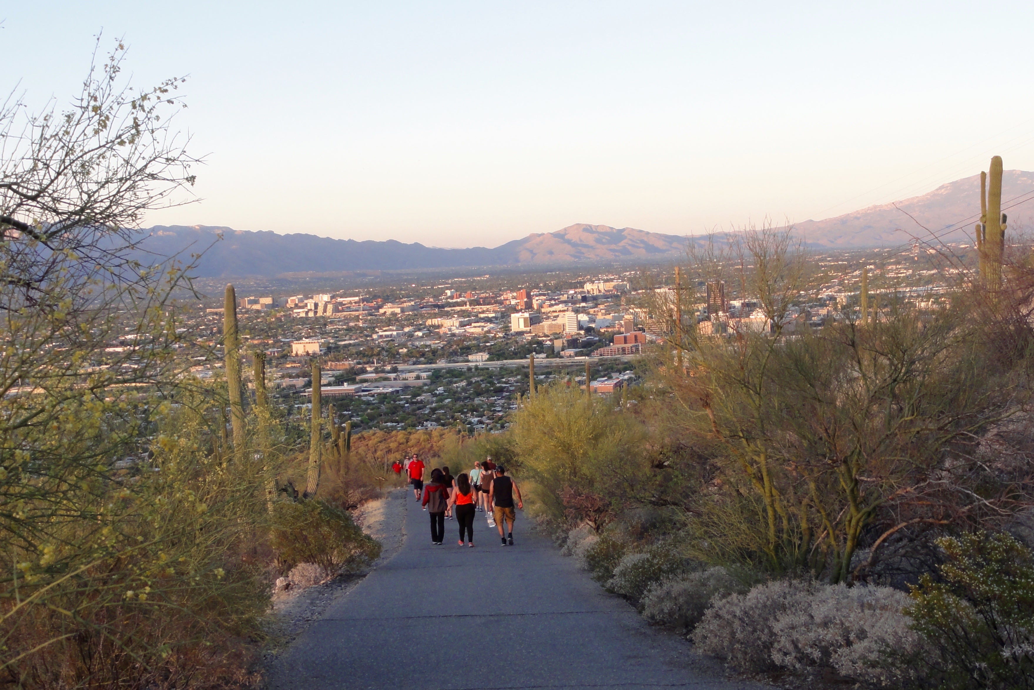 Tumamoc Hill Hiking Trail How A Tucson Hiking Hotspot Balances Its Popularity With Research