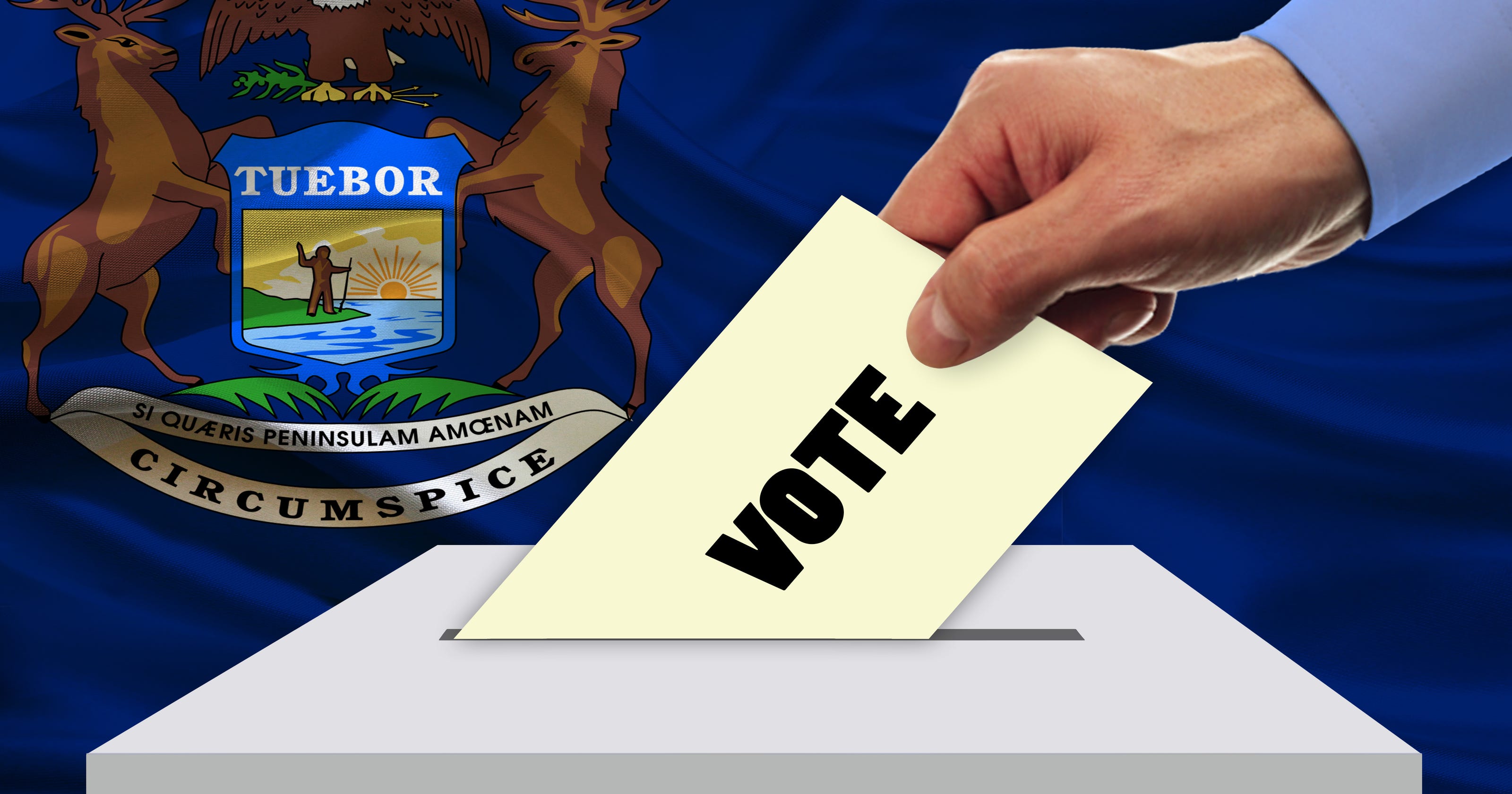 Aug. 6 elections in metro Detroit Candidates, what to know