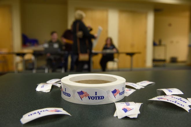 Michigan election 2022: Metro Detroit candidates talk issues Michigan election 2022: Metro Detroit candidates talk issues