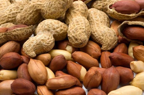 New drug promises protection for people with peanut allergies
