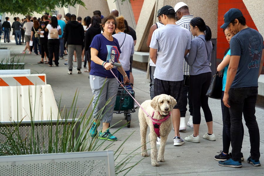 Tammy Versing and her dog Ben Ben provide water to voters at an early voting polling station Sunday at West Los Angeles College in Culver City, California.
