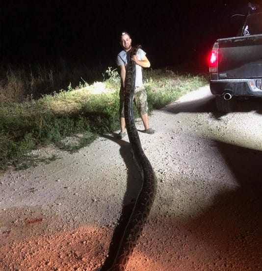 Man grabs 17-foot python near Florida levee, has bite marks to prove it