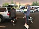 There are dozens of families in parking lots around Chico. They fled the Camp Fire in Paradise. The fire broke out about 6:30 a.m. on Thursday, Nov. 8, 2018.