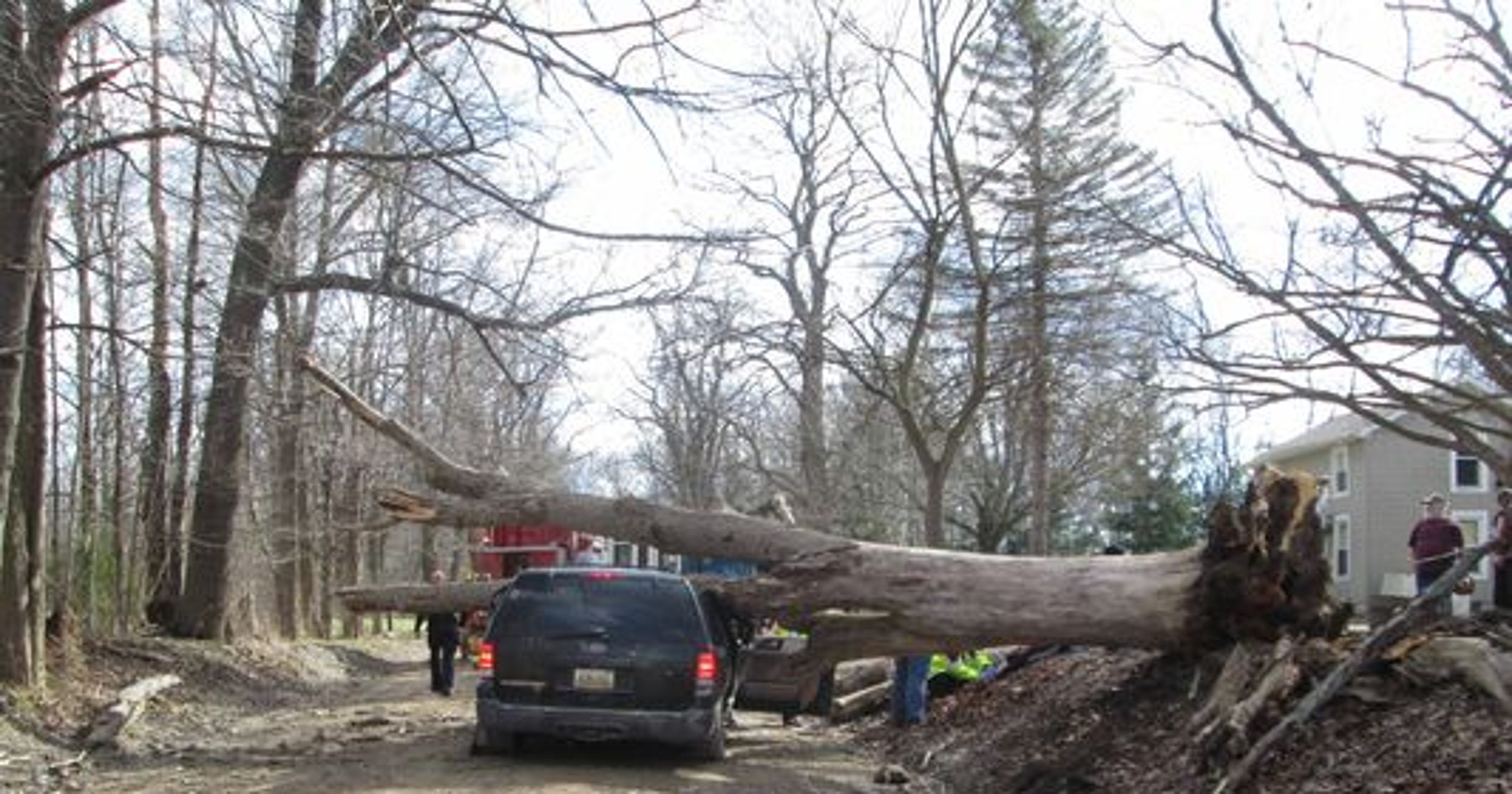 14 have died in crashes with dead ash trees. He wants people to know.