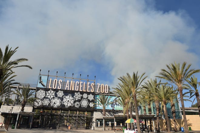 Smoke from a wildfire rises over the Los Angeles Zoo in Griffith Park in Los Angeles, California, November 9, 2018. - Staff at the Los Angeles Zoo, which is located in the park are preparing animals to be evacuated. (Photo by Robyn Beck / AFP)        (Photo credit should read ROBYN BECK/AFP/Getty Images)