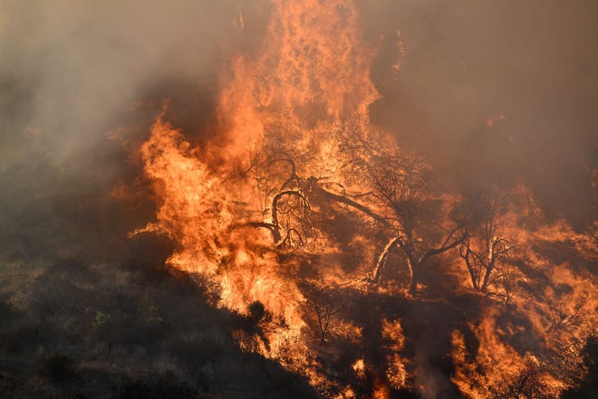 Flames from a wildfire burn a portion of Griffith Park in Los Angeles, California, November 9, 2018. - Staff at the Los Angeles Zoo, which is located in the park are preparing animals to be evacuated. (Photo by Robyn Beck / AFP)        (Photo credit should read ROBYN BECK/AFP/Getty Images)