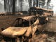 Cars were left in roadways Thursday as the Camp Fire pushed into Paradise; a testament to the panic caused by the fire.