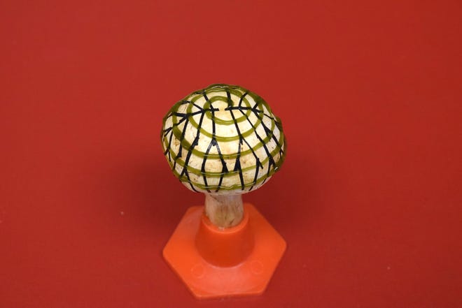 A 'bionic mushroom' capable of generating its own electricity. It was created by scientists at the Stevens Institute of Technology.