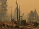 The Northern California town of Paradise was a burned ghost town on Friday, Nov. 9, 2018, a day after the Camp Fire swept through. Most of the businesses on the Skyway were destroyed. Some schools were burned out. People escaping the fire abandoned their cars on the road.