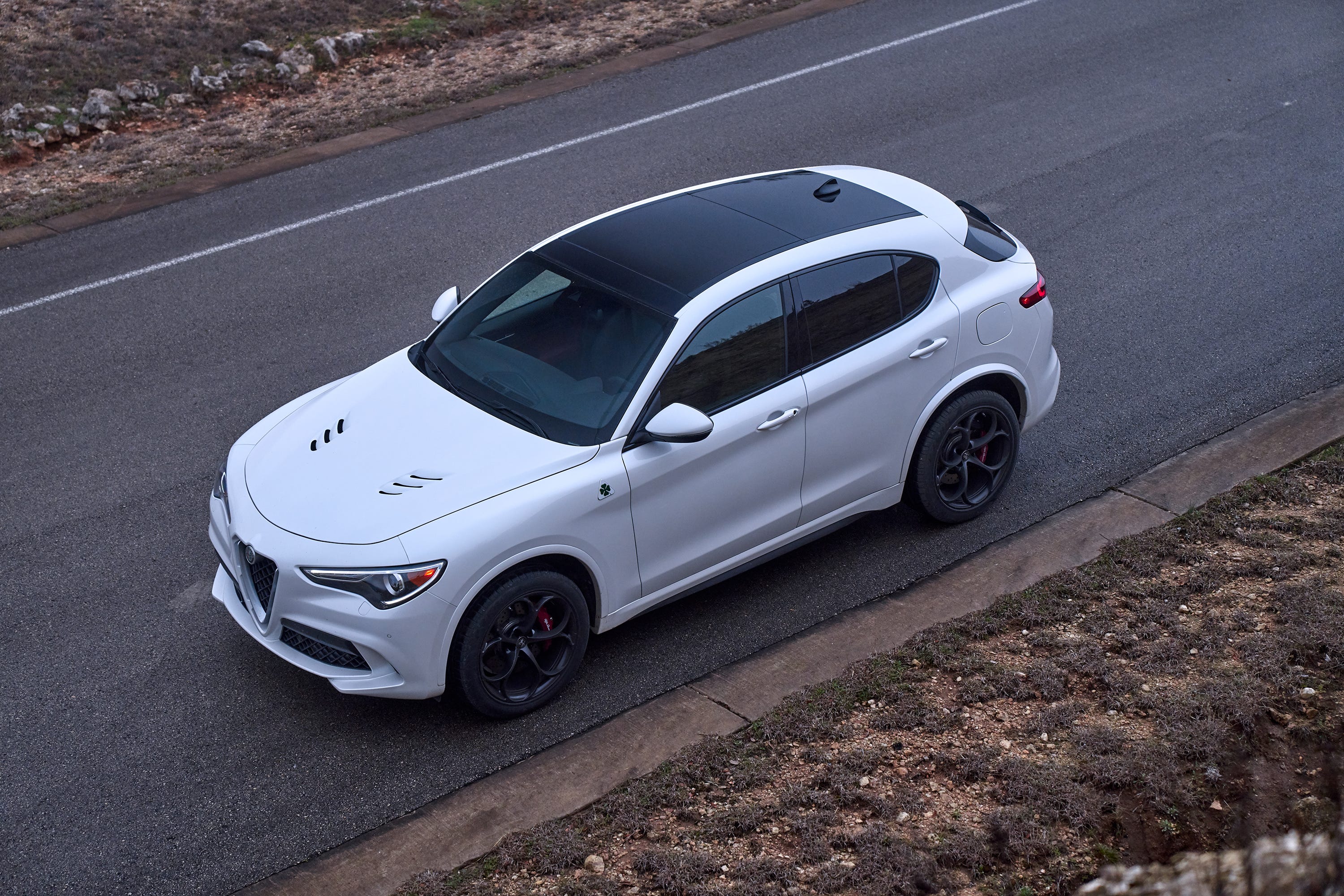 2019 Alfa Romeo Stelvio Quadrifoglio Suv Stands Out In Crowd