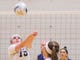 Rutherford High School's Mia Capobianco (15) sets the ball against Northern Valley Regional at Demarest during the NJSIAA volleyball group two finals at William Paterson Recreation Center. Demarest won 25-13, 25-9.