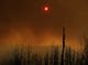 The sun rises over the Plumas National Forest on Sunday after the Camp Fire devastates the area.