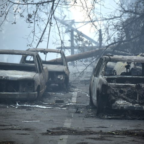 Abandoned and burned-out cars along Pearson Road...