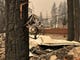 A house ornament continued to twirl at the Ridgewood Mobile Home Park in Paradise after the Camp Fire destroyed the park on Thursday in Paradise.