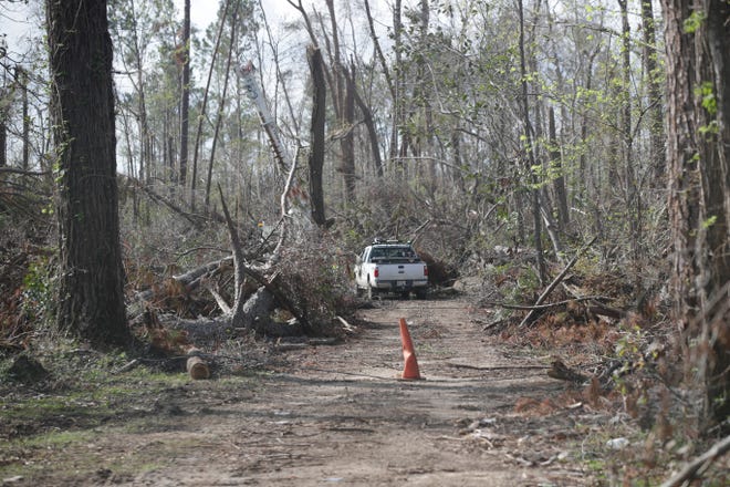 Crews work to clean up debris across the Florida Caverns State Park in Marianna, Fla. Friday, Nov. 9, 2018, a month after Hurricane Michael. 