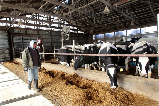 Dave Daniels is a member of a task force, called Dairy 2.0, that's trying to find solutions to dairy industry problems and carve out a better future.