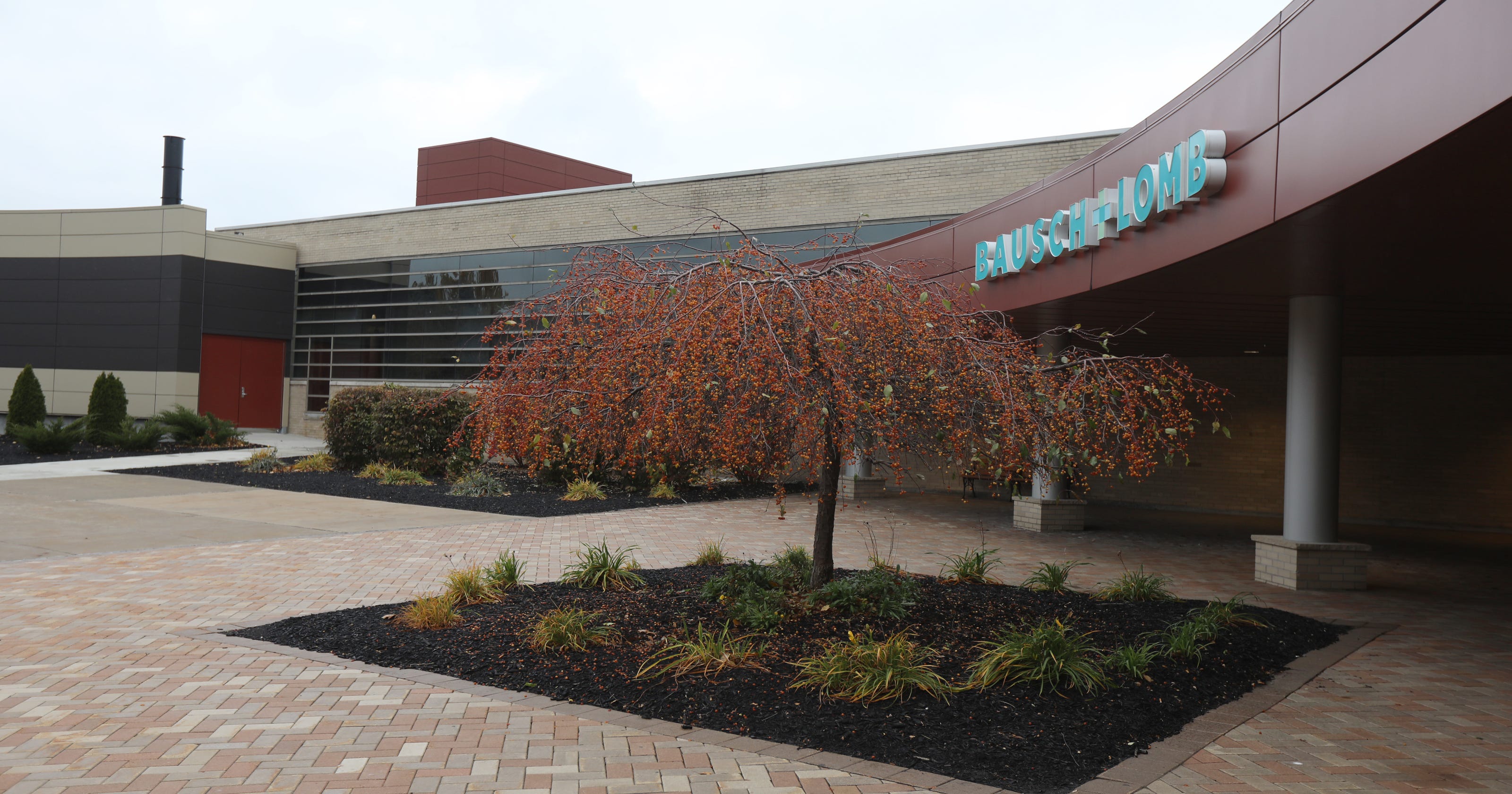 Bausch and Lomb to expand Rochester, Ireland facilities; creating 200 jobs